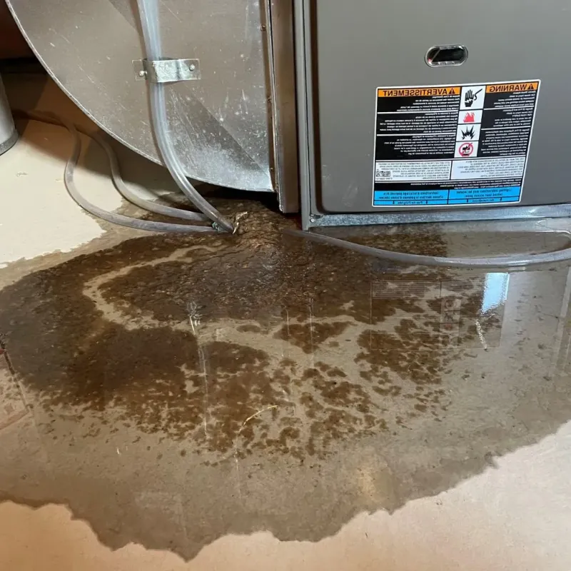 Pipe Burst and Leak Restoration in Beaverdale, PA